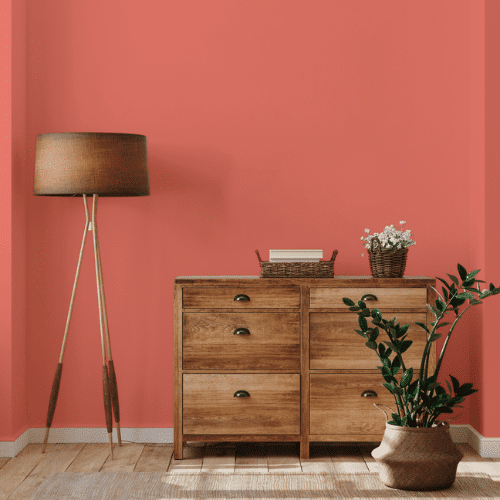 ambiente coral