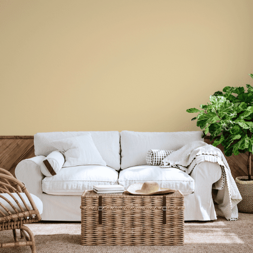 ambiente berta