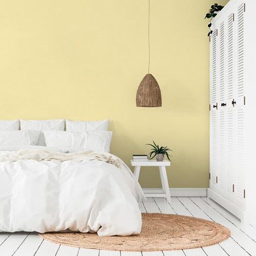 ambiente mimosa
