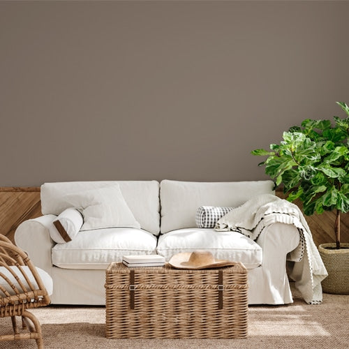 ambiente nuez moscada