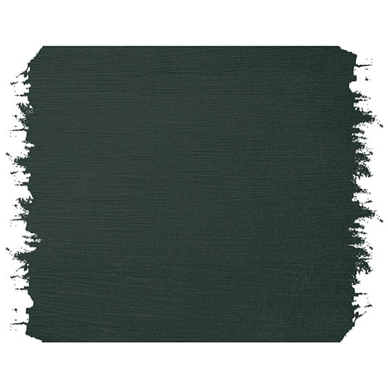 pino negro